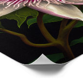 Pink Passion Blume Art Print Poster (Ecke)