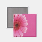 Pink Passion Magnet (Vorderseite/Rückseite)