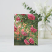 Pink Passion Post Card Postkarte (Stehend Vorderseite)
