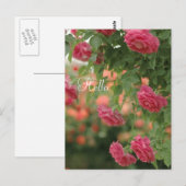 Pink Passion Post Card Postkarte (Vorne/Hinten)