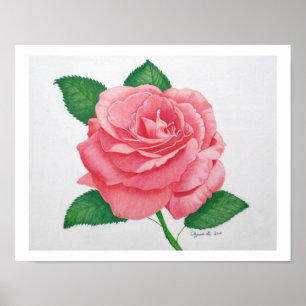 Pink Passion Print Poster