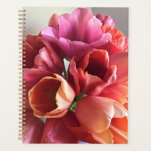 Pink & Peach Tulip Bouquet Planer (Vorderseite)