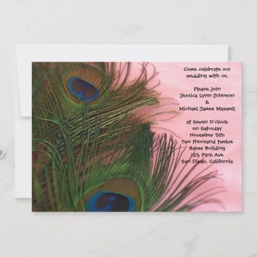 Pink Peacock Feathers Hochzeit Einladung (Vorderseite)