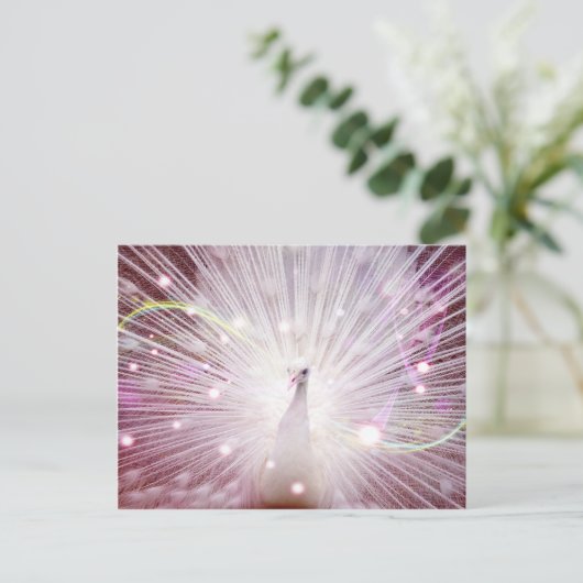 Pink Peacock Postkarte (Stehend Vorderseite)