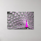 Pink Peacock Wrapped Canvas Leinwanddruck (Vorderseite)