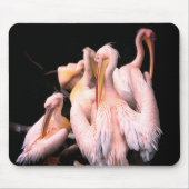 Pink Pelicans Mousepad (Vorne)