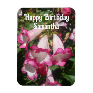Pink Penstemon Blume Blume Floral Geburtstag Magnet