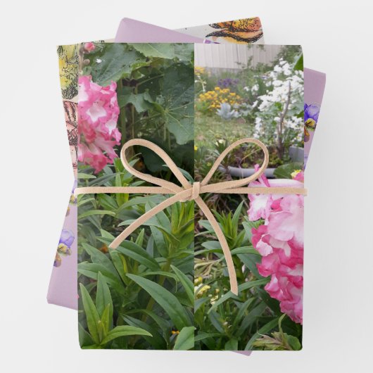 Pink Penstemon Blume Floral Poppies Geschenkpapier Set (Beispiel)