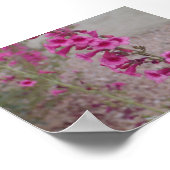 Pink Penstemons Poster (Ecke)
