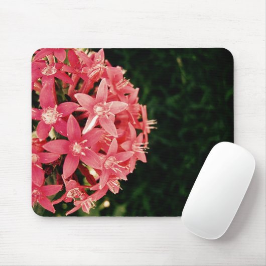Pink-Pentas Mousepad (Mit Mouse)