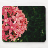 Pink-Pentas Mousepad (Vorne)