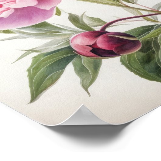 Pink Peongs Blume Art Print Poster (Ecke)