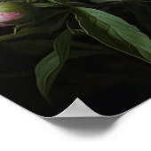 Pink Peongs Blume Art Print Poster (Ecke)