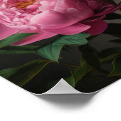 Pink Peongs Blume Art Print Poster (Ecke)