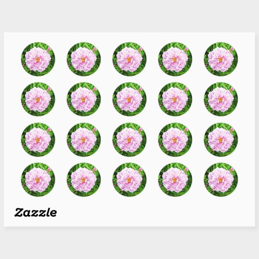 Pink Peonie Floral Stickers (Blatt)
