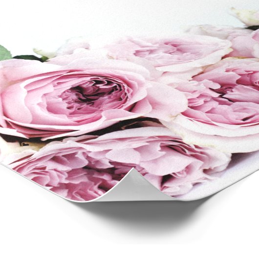 PINK PEONIES FOTOGRAPH POSTER (Ecke)