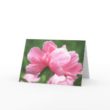 Pink Peonies Greeting Card