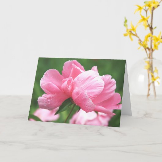 Pink Peonies Greeting Card Karte (Gelbe Blume)