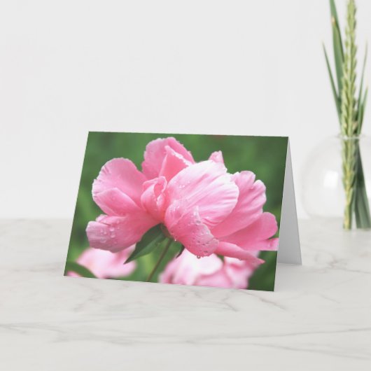 Pink Peonies Greeting Card Karte (Vorderseite)