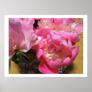 Pink Peonies in Vase / Peony Blume Poster