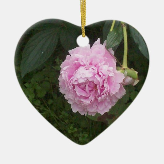 Pink Peonies Keramik Ornament (Vorne)
