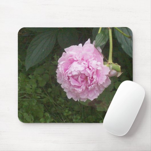 Pink Peonies Mousepad (Mit Mouse)