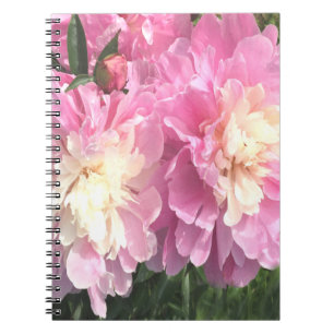 Pink Peonies Notizblock