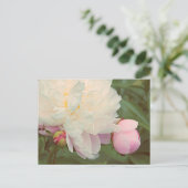 Pink Peonies Peony Blume Postcard Postkarte (Stehend Vorderseite)