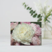 Pink Peonies / Pink Peony Postcard Postkarte (Stehend Vorderseite)