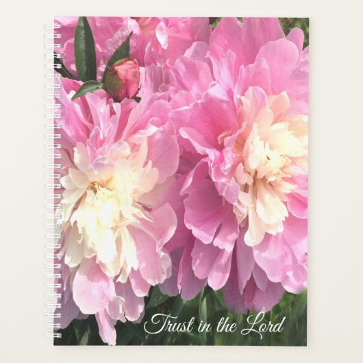 Pink Peonies Planer (Vorderseite)