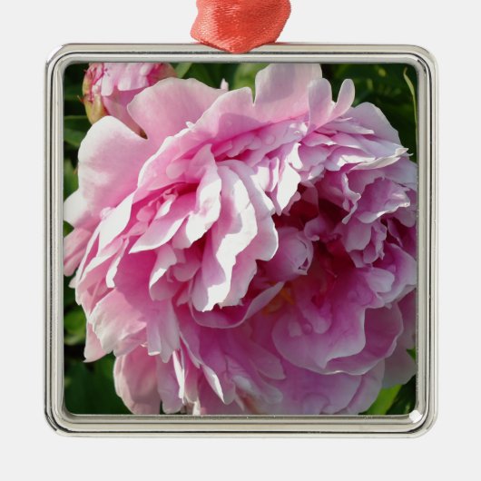 Pink Peonies Silbernes Ornament (Vorne)