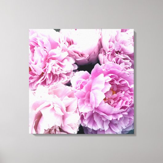 Pink Peonies Stretched Canvas Print Leinwanddruck (Vorderseite)