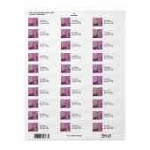 Pink Peonies Wedding Return Address Label (Vorne)