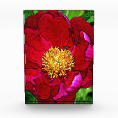 Pink Peony Acrylic Block (Vorderseite)
