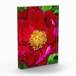 Pink Peony Acrylic Block