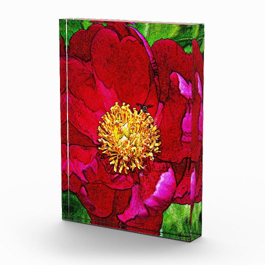 Pink Peony Acrylic Block (Rechts)