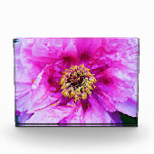 Pink Peony Acrylic Block (Vorderseite)