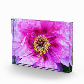 Pink Peony Acrylic Block (Rechts)