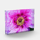 Pink Peony Acrylic Block (Links)