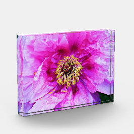 Pink Peony Acrylic Block