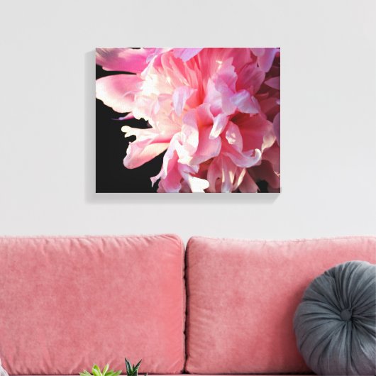 Pink Peony auf schwarzem Hintergrund Canvas Print Leinwanddruck (Insitu (Wohnzimmer))