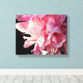 Pink Peony auf schwarzem Hintergrund Canvas Print Leinwanddruck (Insitu (Holzboden))
