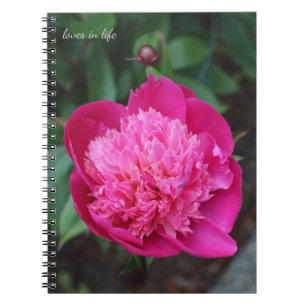 Pink Peony & Baby Bud Notizblock
