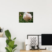 Pink Peony Blossom. Poster (Heimbüro)