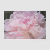 Pink Peony Blossom Seidenpapier (Vorderseite)