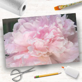 Pink Peony Blossom Seidenpapier