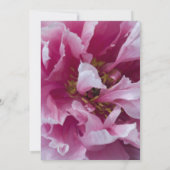 Pink Peony Blume Brautparty Einladung (Rückseite)