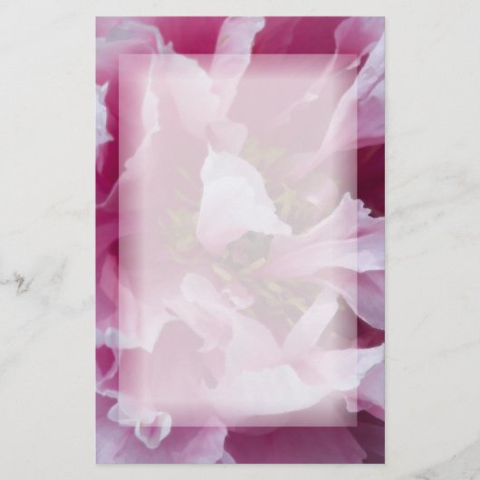 Pink Peony Blume Briefpapier (Vorderseite)