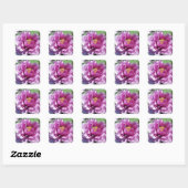 Pink Peony Blume Foto Square Stickers (Blatt)