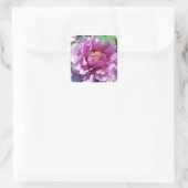 Pink Peony Blume Foto Square Stickers (Tasche)